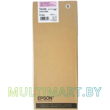 Картридж Epson C13T624600